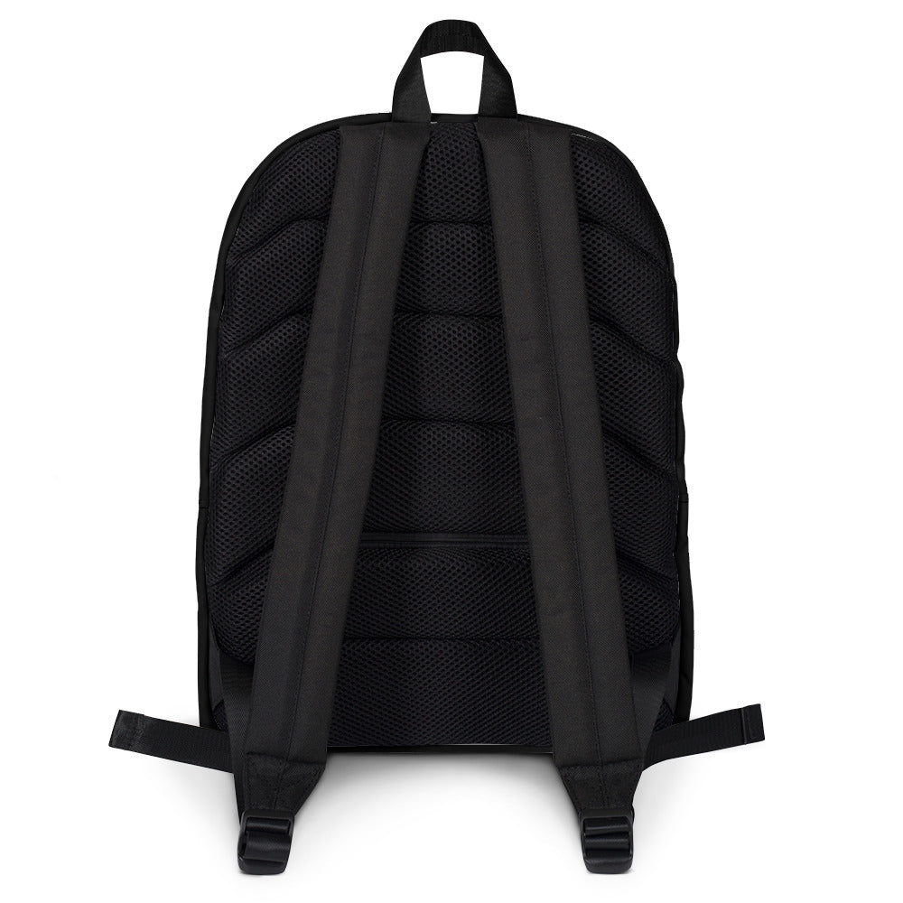 International Money Backpack