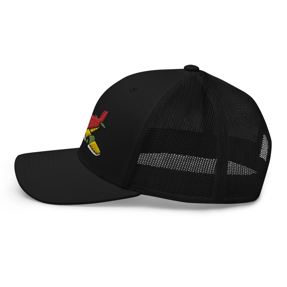 Color Plane Trucker Cap