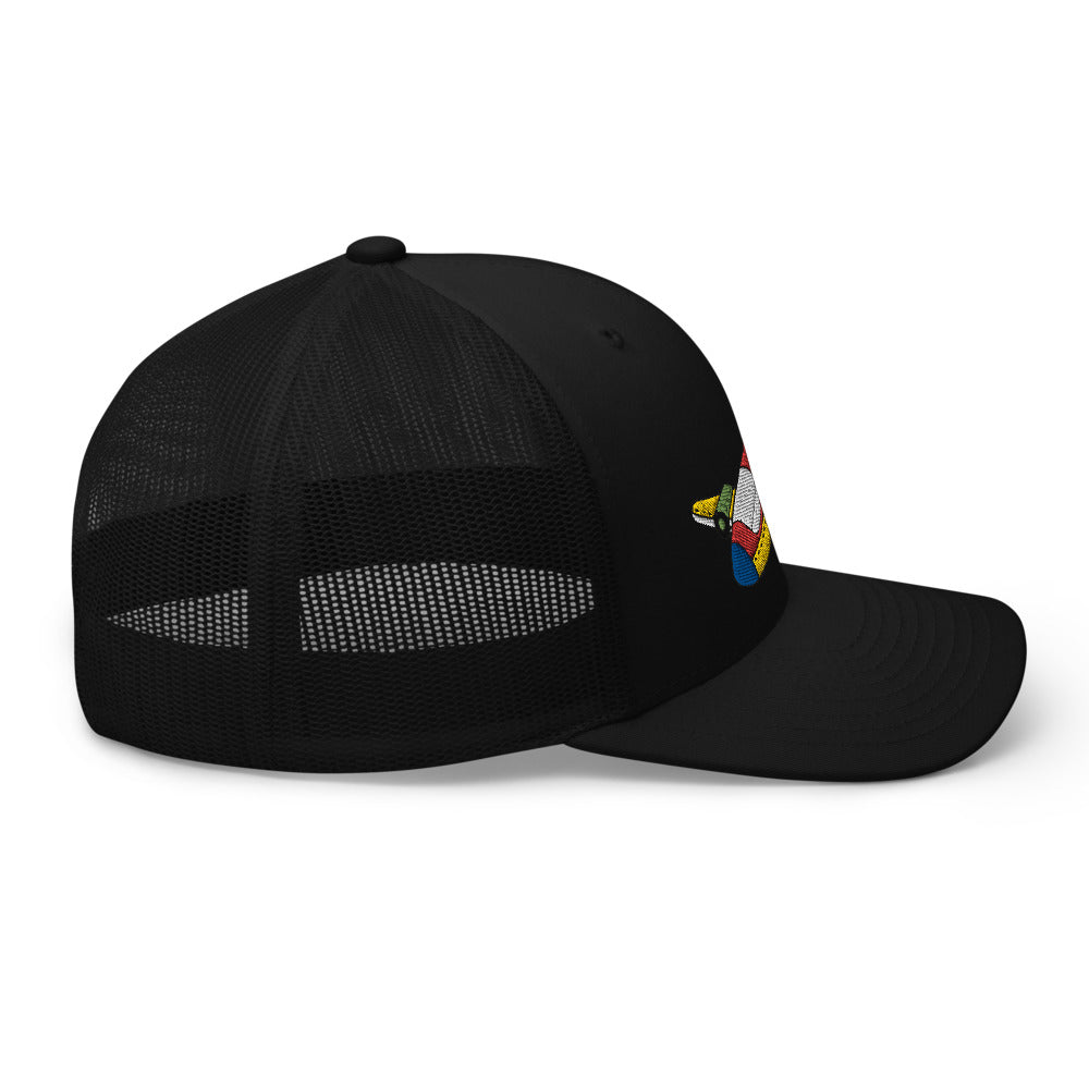 Color Plane Trucker Cap